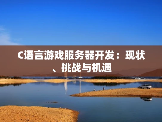 C语言游戏服务器开发：现状、挑战与机遇