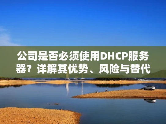 公司是否必须使用DHCP服务器？详解其优势、风险与替代方案