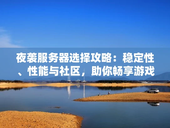 夜袭服务器选择攻略：稳定性、性能与社区，助你畅享游戏乐趣