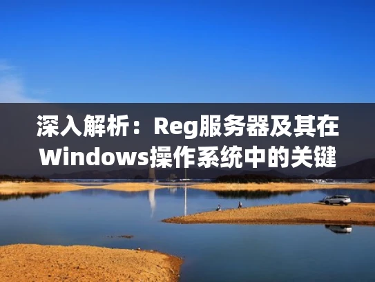 深入解析：Reg服务器及其在Windows操作系统中的关键作用