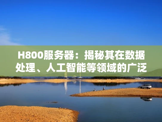 H800服务器：揭秘其在数据处理、人工智能等领域的广泛应用