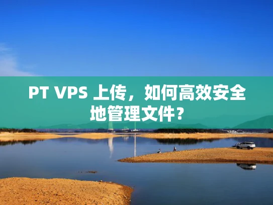 PT VPS 上传，如何高效安全地管理文件？