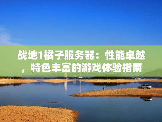 战地1橘子服务器：性能卓越，特色丰富的游戏体验指南
