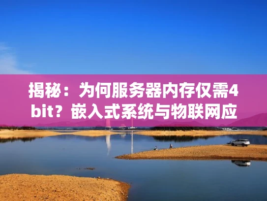 揭秘：为何服务器内存仅需4bit？嵌入式系统与物联网应用解析