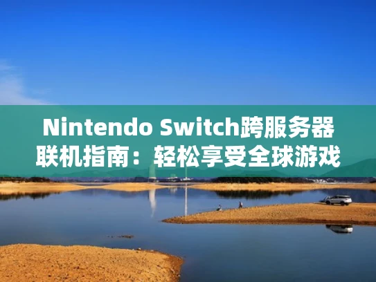 Nintendo Switch跨服务器联机指南：轻松享受全球游戏体验