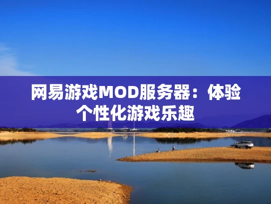 网易游戏MOD服务器：体验个性化游戏乐趣