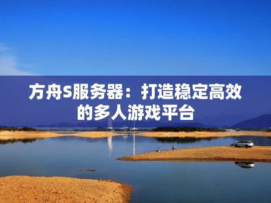 方舟S服务器：打造稳定高效的多人游戏平台