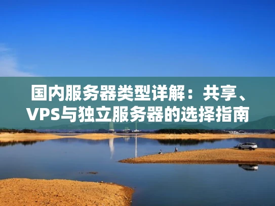 国内服务器类型详解：共享、VPS与独立服务器的选择指南