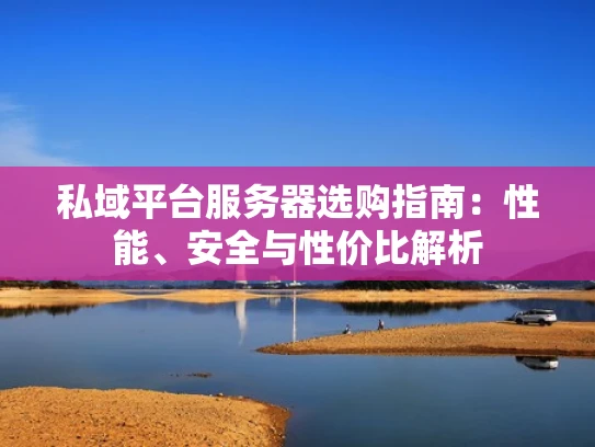 私域平台服务器选购指南：性能、安全与性价比解析
