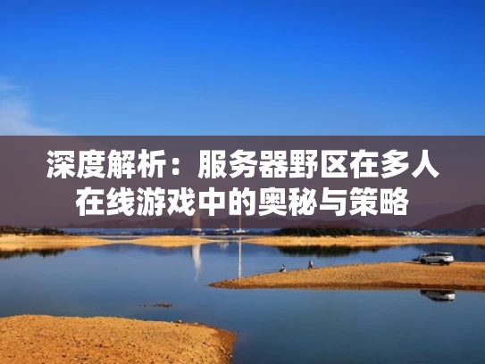 深度解析：服务器野区在多人在线游戏中的奥秘与策略