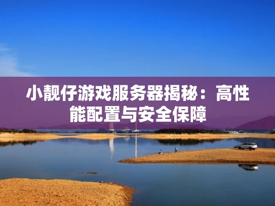 小靓仔游戏服务器揭秘：高性能配置与安全保障