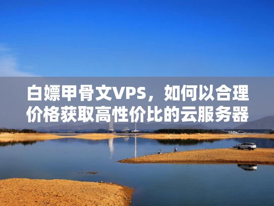 白嫖甲骨文VPS，如何以合理价格获取高性价比的云服务器？