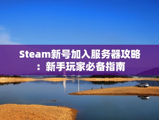 Steam新号加入服务器攻略：新手玩家必备指南