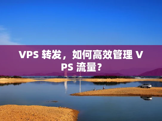 VPS 转发，如何高效管理 VPS 流量？