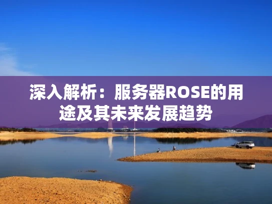深入解析：服务器ROSE的用途及其未来发展趋势