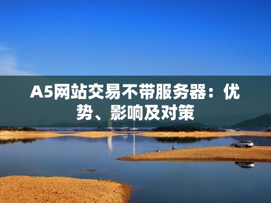 A5网站交易不带服务器：优势、影响及对策