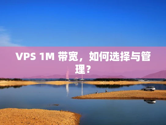 VPS 1M 带宽，如何选择与管理？