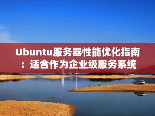 Ubuntu服务器性能优化指南：适合作为企业级服务系统