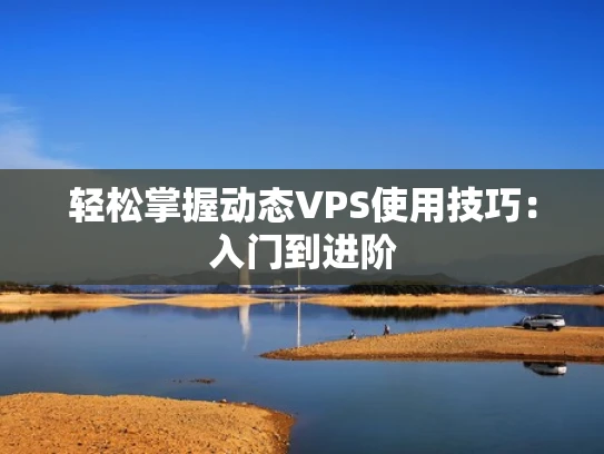 轻松掌握动态VPS使用技巧：入门到进阶