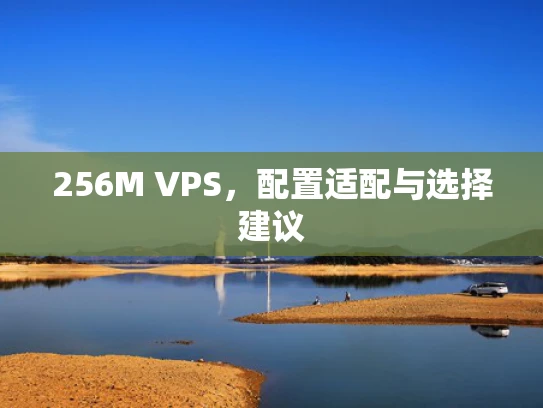 256M VPS，配置适配与选择建议