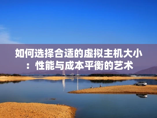 如何选择合适的虚拟主机大小：性能与成本平衡的艺术