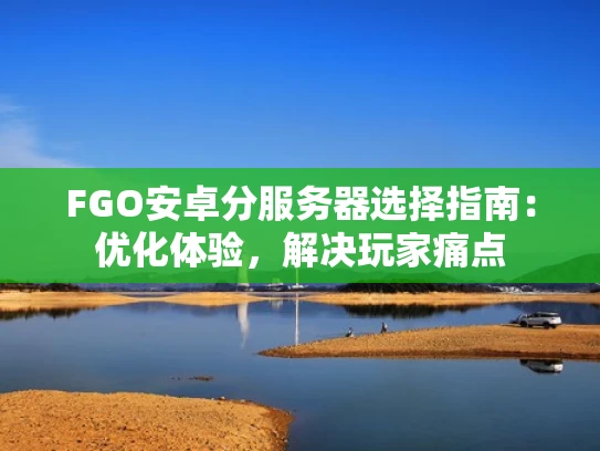FGO安卓分服务器选择指南：优化体验，解决玩家痛点