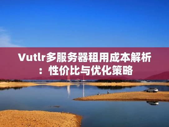 Vutlr多服务器租用成本解析：性价比与优化策略