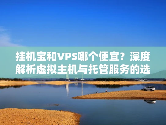 挂机宝和VPS哪个便宜？深度解析虚拟主机与托管服务的选择