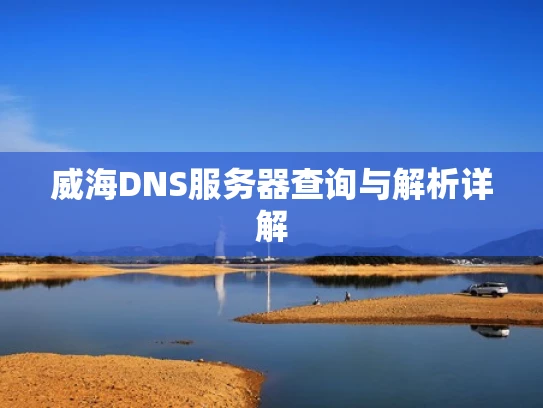 威海DNS服务器查询与解析详解
