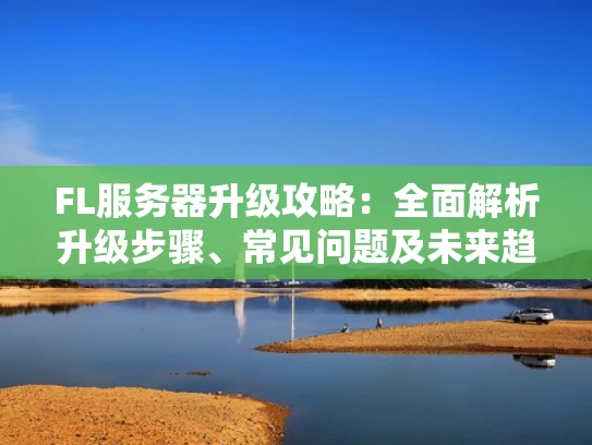 FL服务器升级攻略：全面解析升级步骤、常见问题及未来趋势