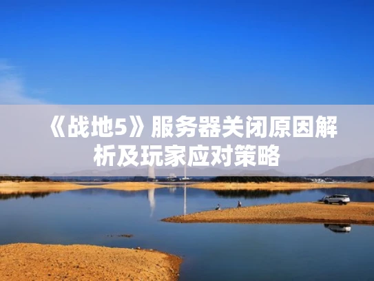 《战地5》服务器关闭原因解析及玩家应对策略