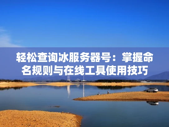 轻松查询冰服务器号：掌握命名规则与在线工具使用技巧