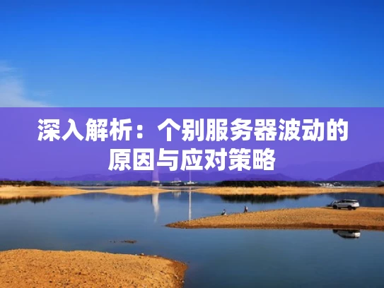 深入解析：个别服务器波动的原因与应对策略
