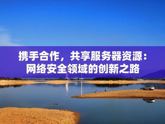 携手合作，共享服务器资源：网络安全领域的创新之路