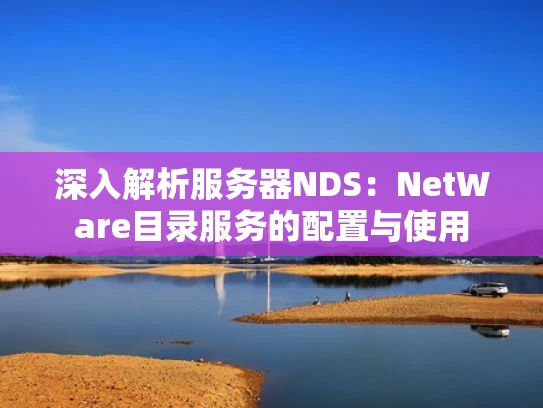 深入解析服务器NDS：NetWare目录服务的配置与使用
