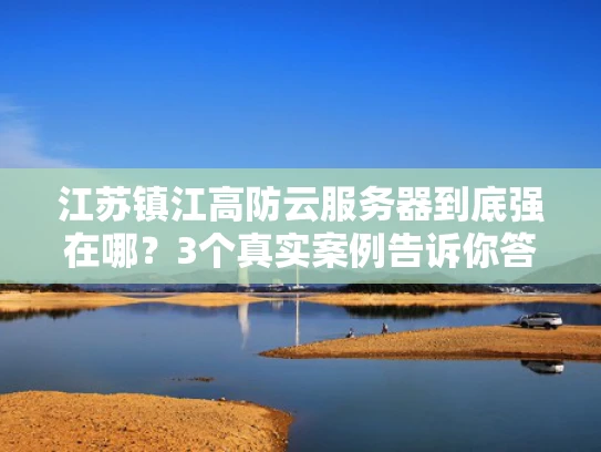 江苏镇江高防云服务器到底强在哪？3个真实案例告诉你答案