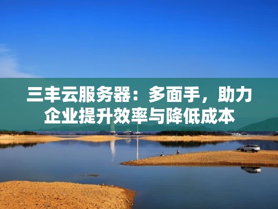 三丰云服务器：多面手，助力企业提升效率与降低成本