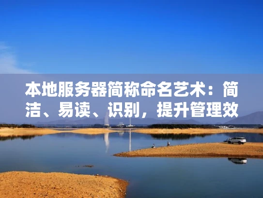 本地服务器简称命名艺术：简洁、易读、识别，提升管理效率