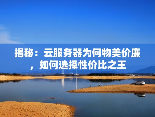 揭秘：云服务器为何物美价廉，如何选择性价比之王