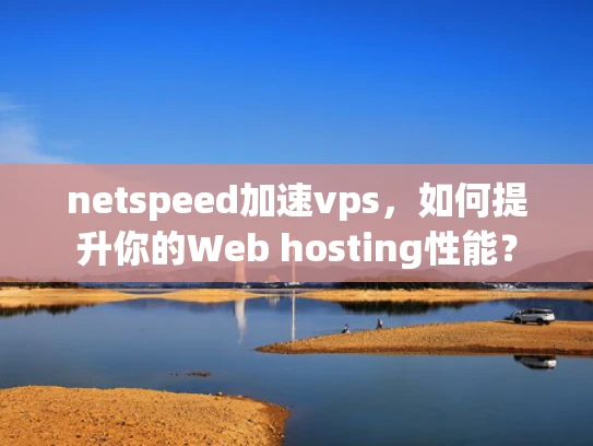 netspeed加速vps，如何提升你的Web hosting性能？