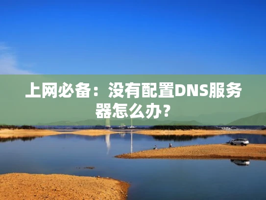 上网必备：没有配置DNS服务器怎么办？