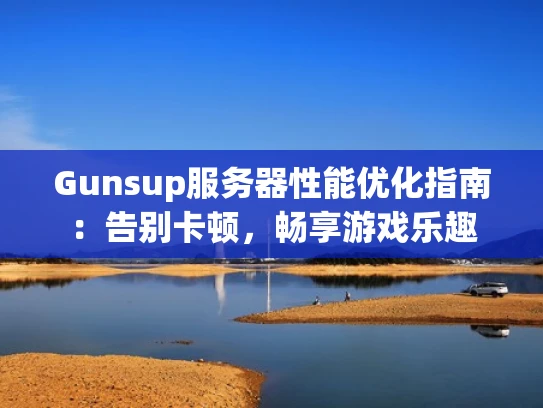 Gunsup服务器性能优化指南：告别卡顿，畅享游戏乐趣
