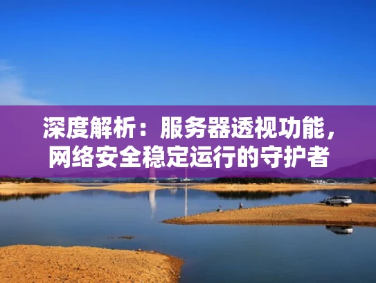 深度解析：服务器透视功能，网络安全稳定运行的守护者