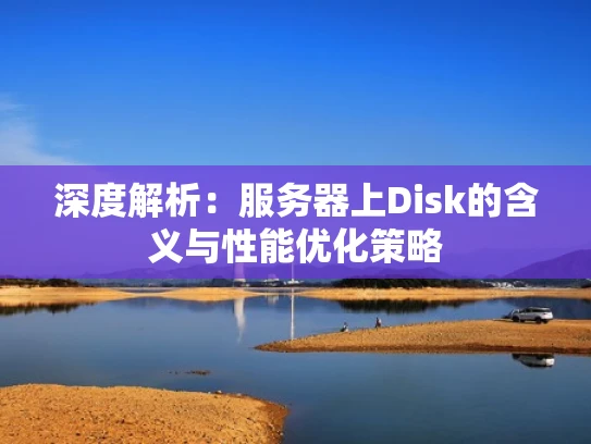 深度解析：服务器上Disk的含义与性能优化策略