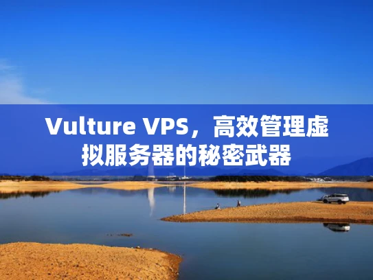 Vulture VPS，高效管理虚拟服务器的秘密武器