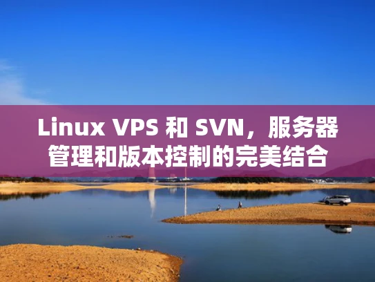 Linux VPS 和 SVN，服务器管理和版本控制的完美结合