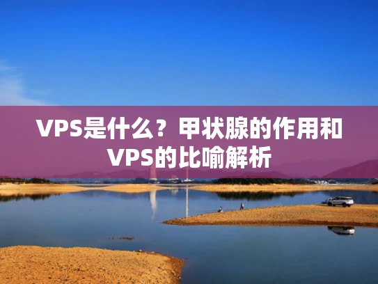 VPS是什么？甲状腺的作用和VPS的比喻解析
