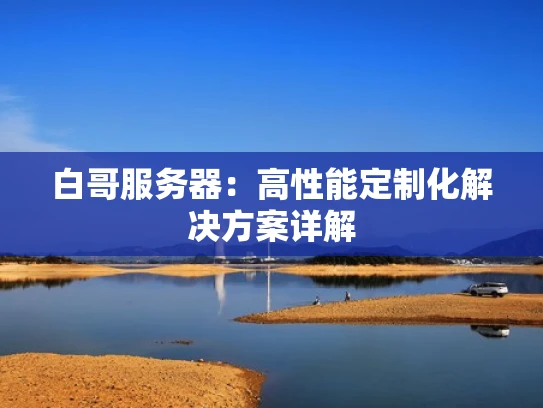 白哥服务器：高性能定制化解决方案详解