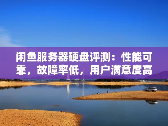 闲鱼服务器硬盘评测：性能可靠，故障率低，用户满意度高