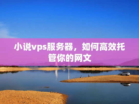 小说vps服务器，如何高效托管你的网文